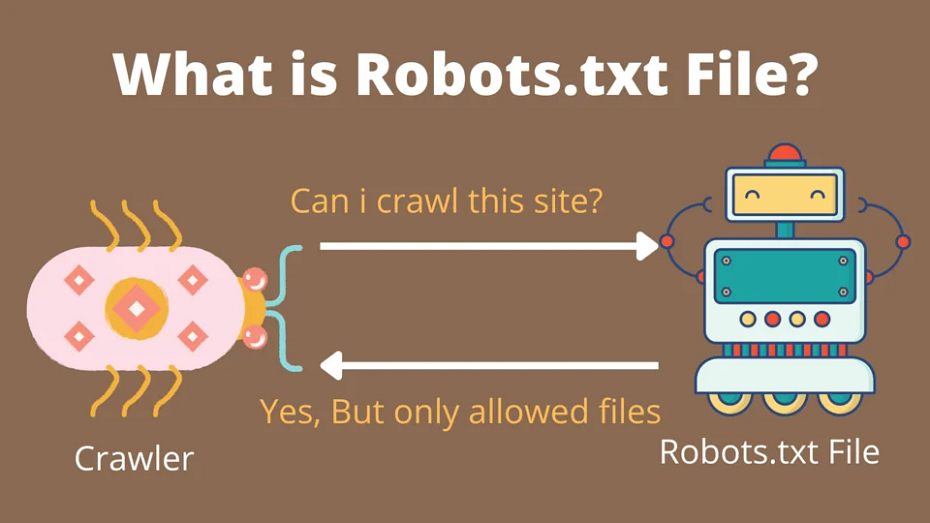 Robots File